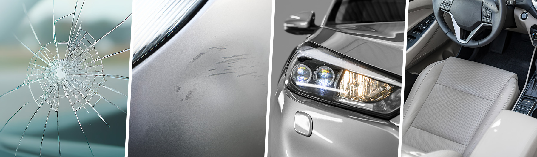 Vehicle Protection Collage