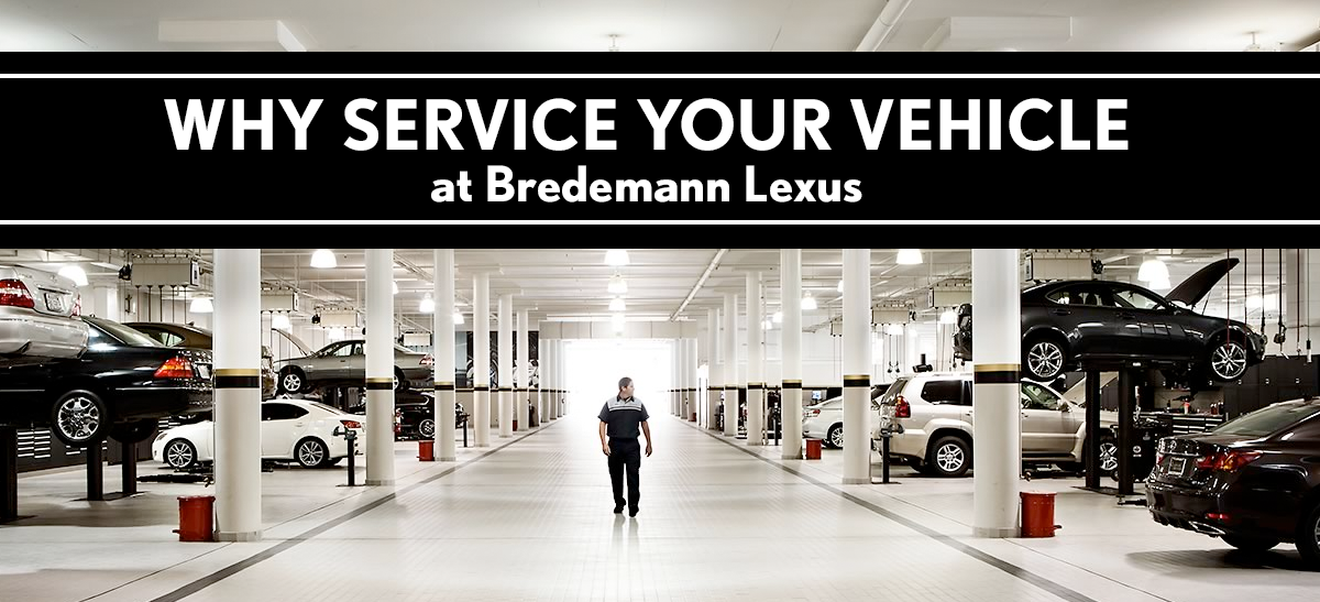 schedule service service parts specials vip car wash lexus tire center
