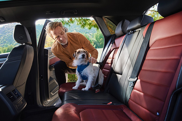 2020 Volkswagen Atlas Cross Sport Interior