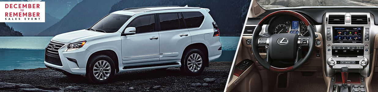 2019 GX 460